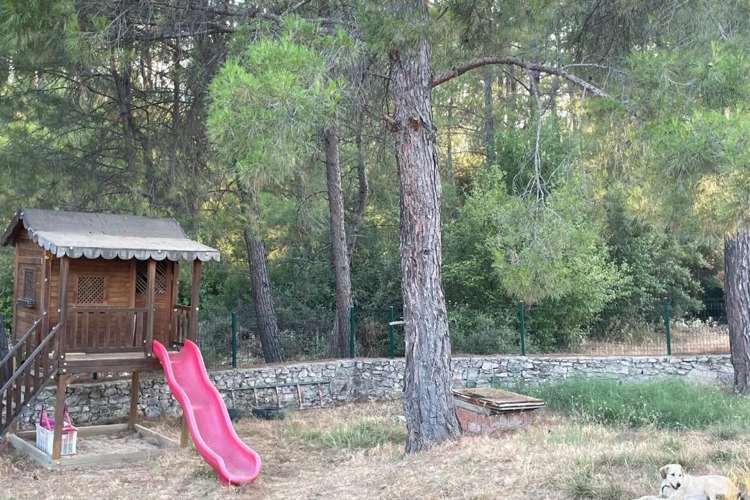 Photo of Others in Milas