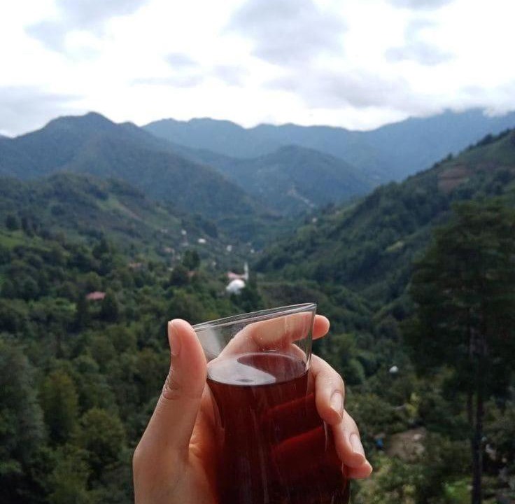 Photo of Others in Ayder