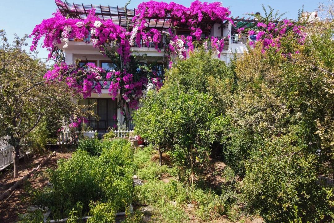 Photo of Others in Datca