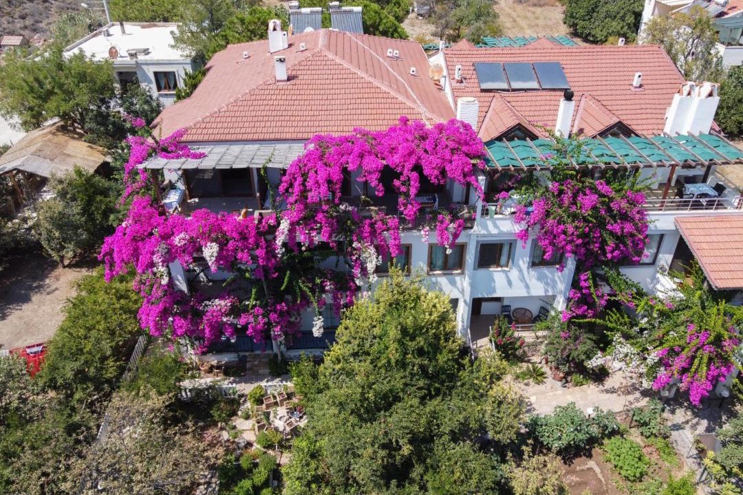 Photo of Others in Datca