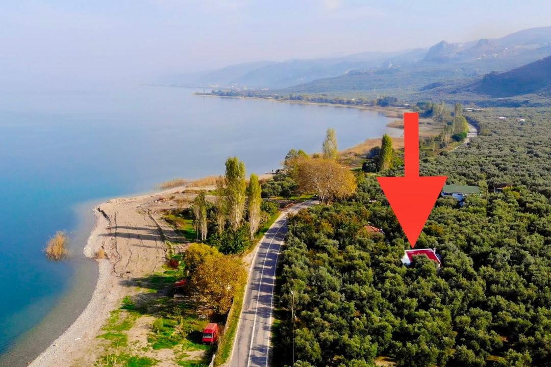 Photo of Others in Iznik