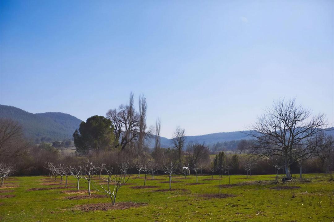 Photo of Others in Menderes
