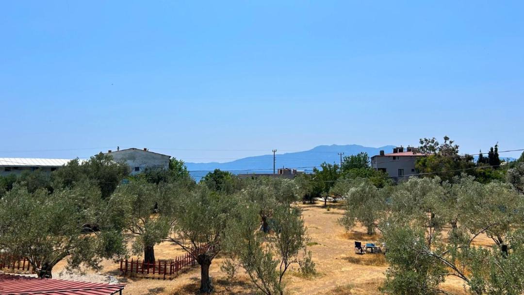 Photo of Others in Ayvacik