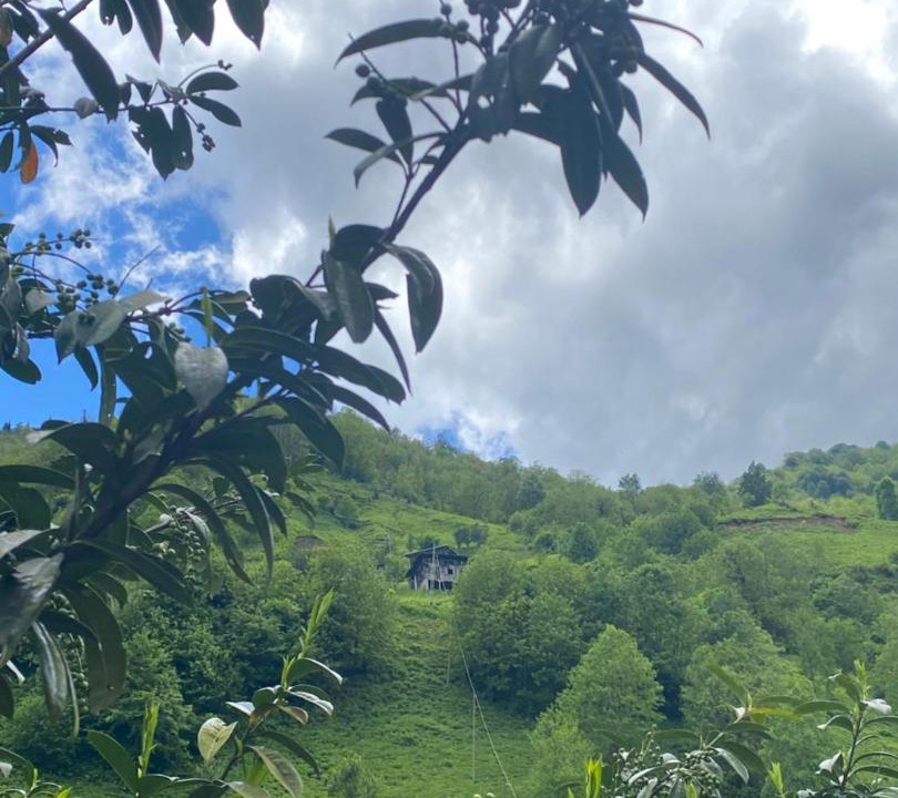 Photo of Others in Ayder