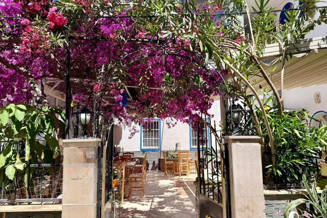 Photo of Others in Bodrum City Center