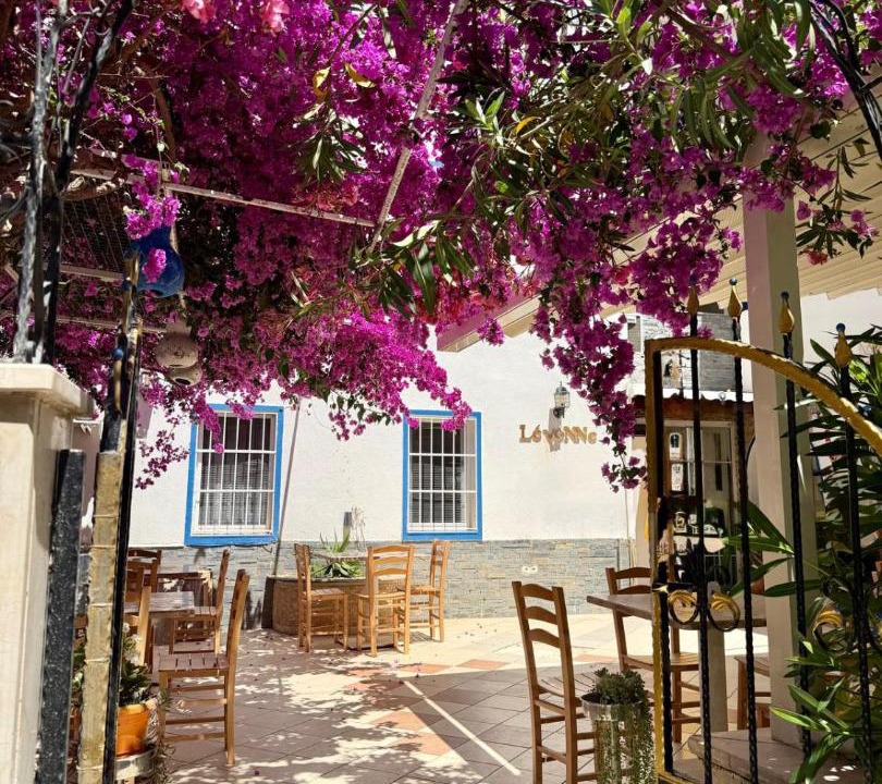 Photo of Others in Bodrum City Center