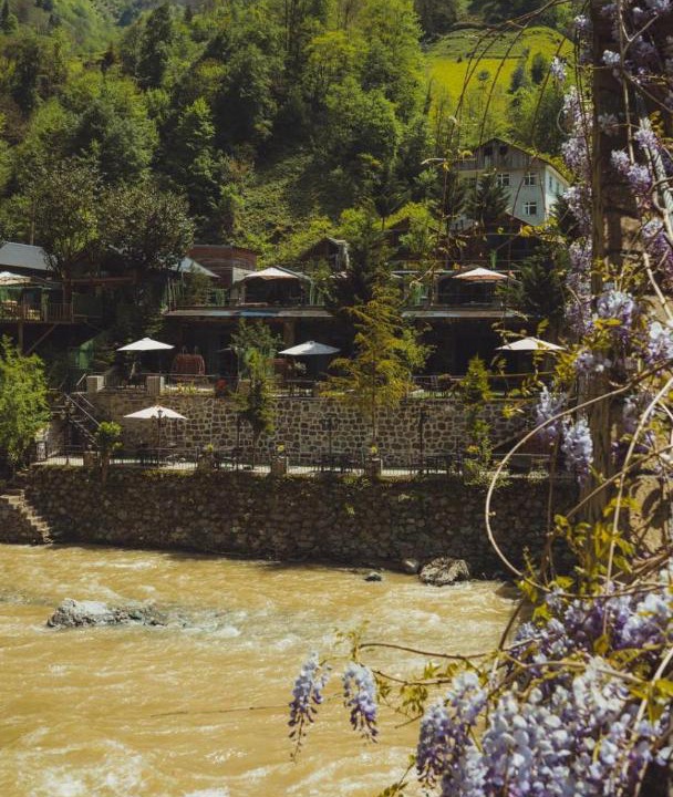Photo of Others in Cayirduzu