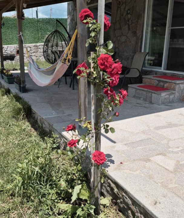 Photo of Others in Ayvacik