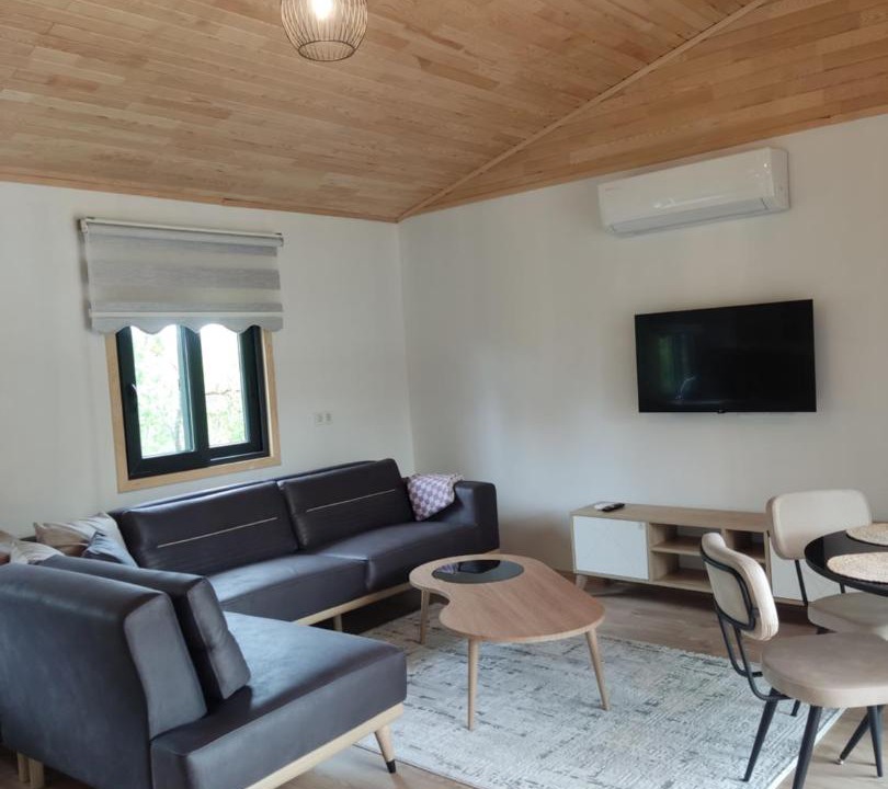 Photo of Livingroom in Cirali