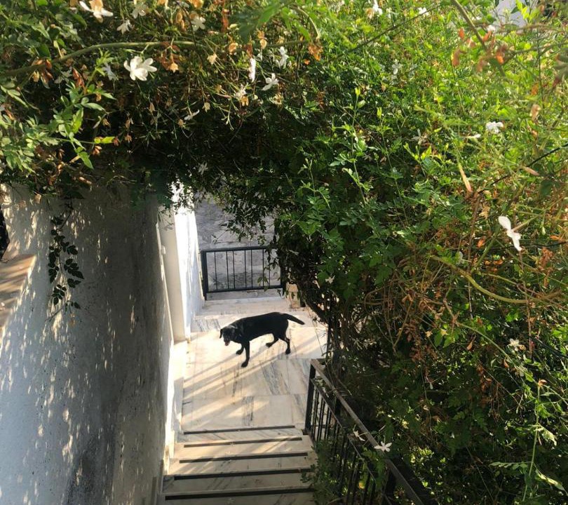 Photo of Others in Bogazici