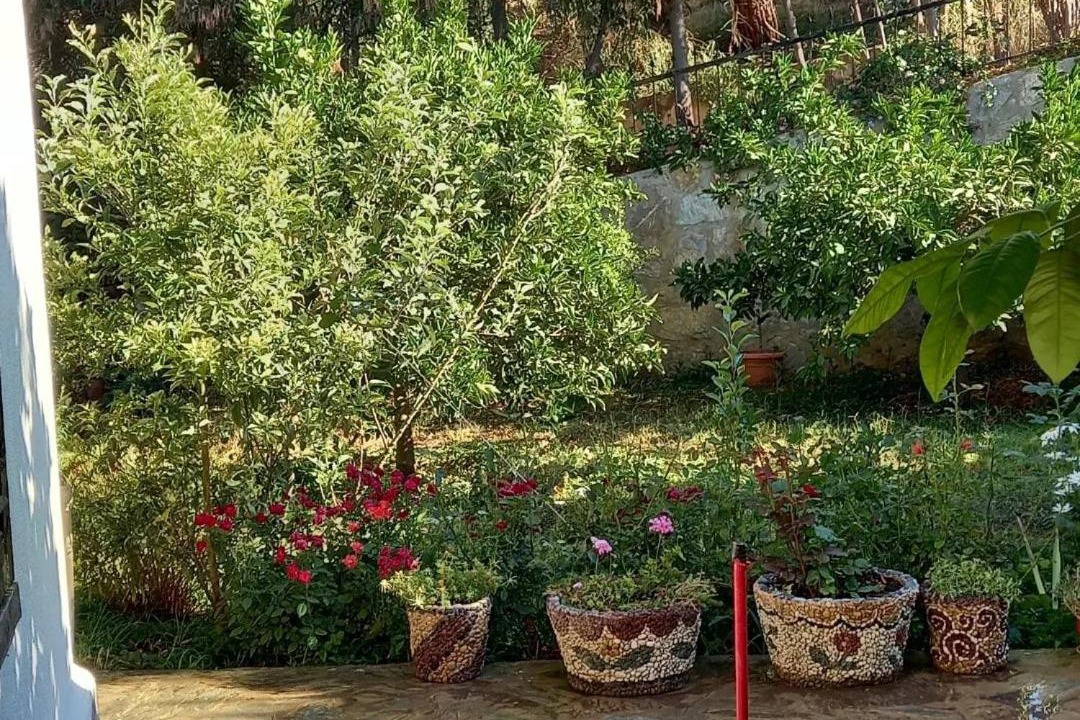 Photo of Others in Mesudiye