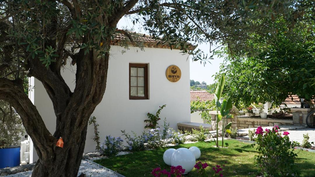 Photo of Others in Urla