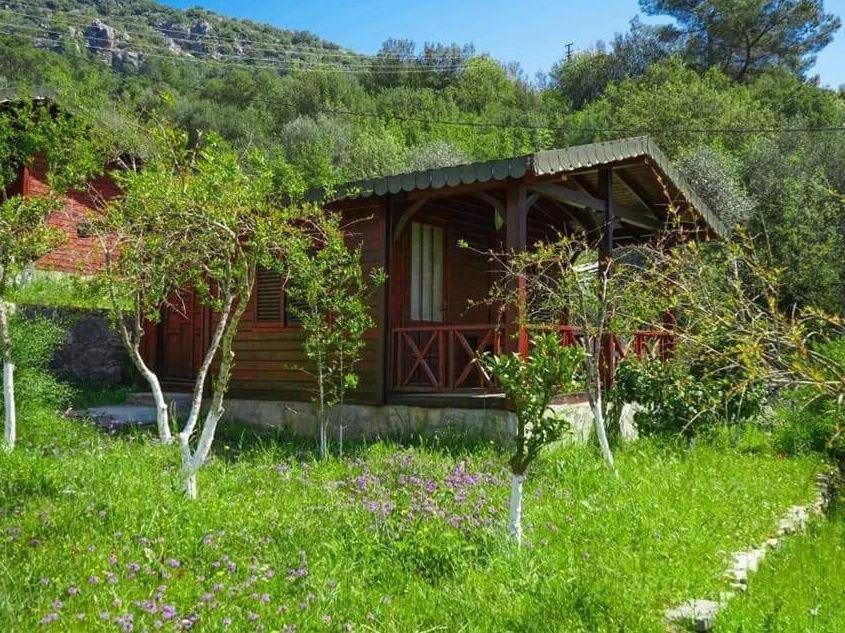 Photo of Others in Olympos