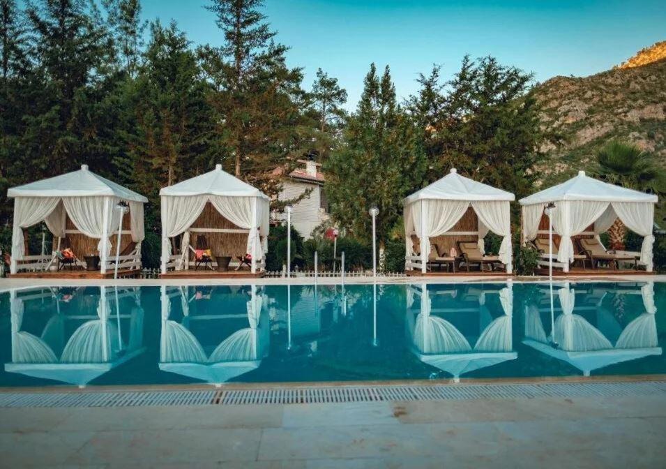 Photo of Others in Olympos