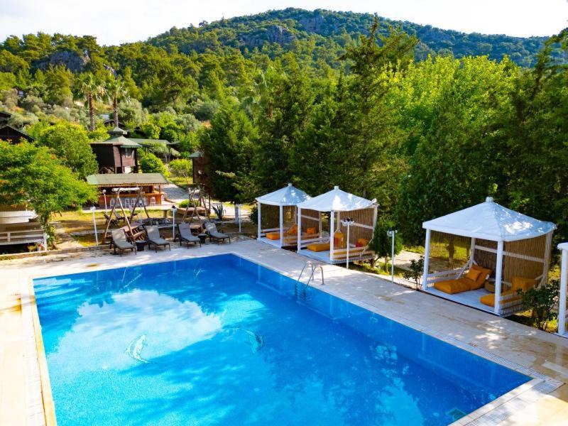 Photo of Others in Olympos