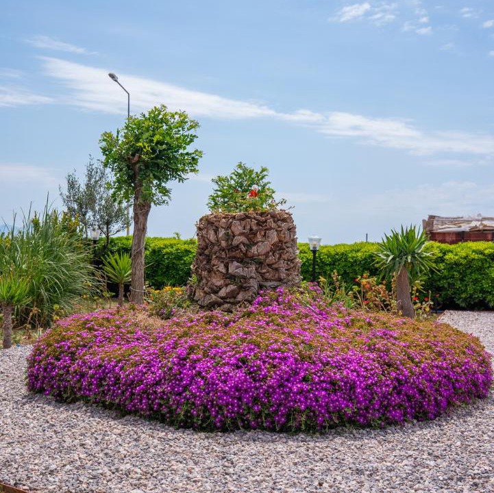 Photo of Outdoor in Sarimsakli