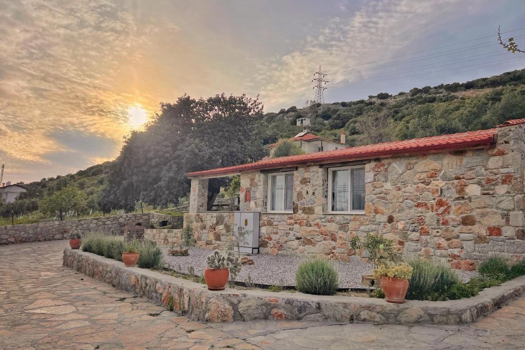 Photo of Others in Datca