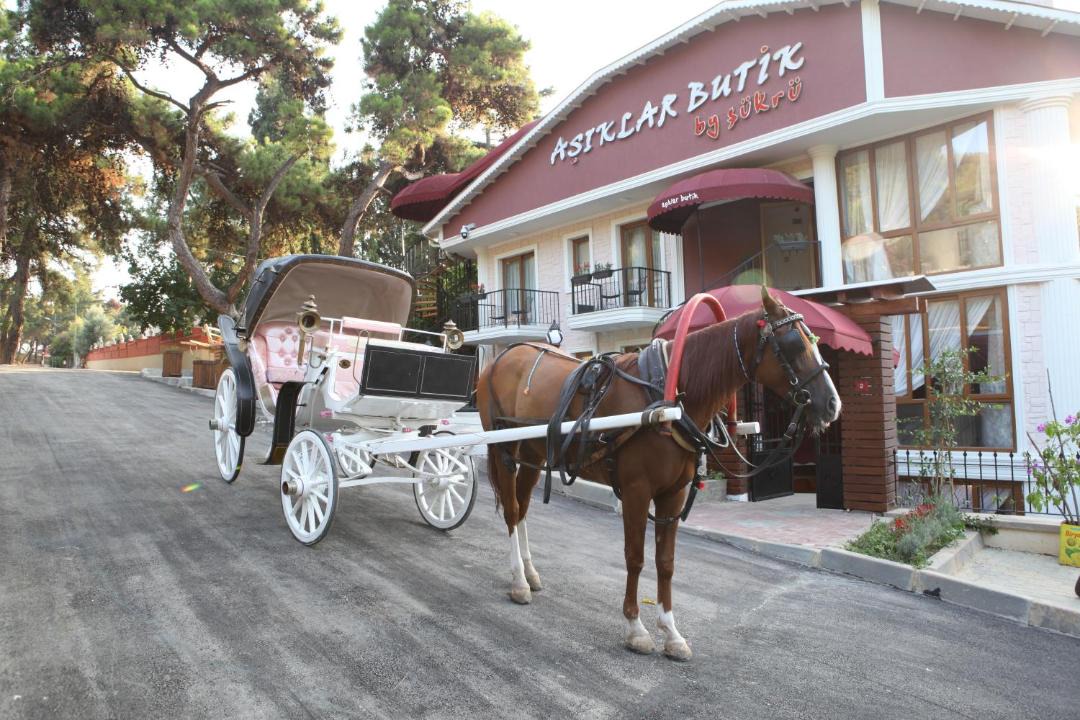 Photo of Others in Adalar