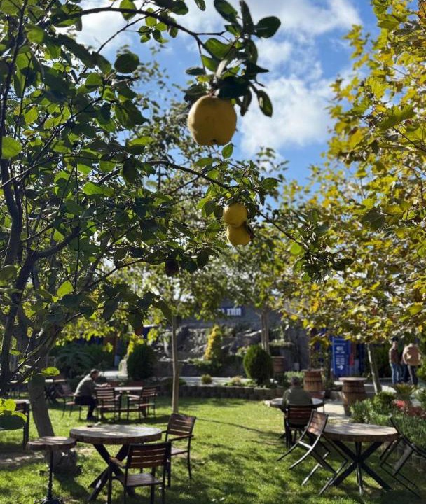 Photo of Others in Arnavutkoy