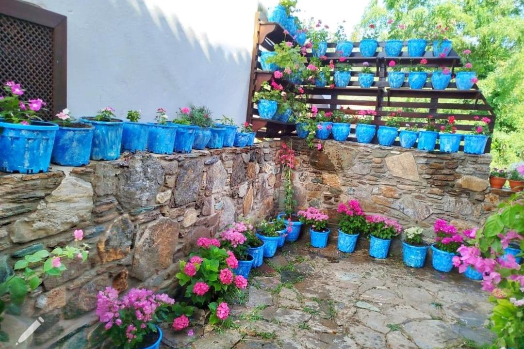 Photo of Others in Sirince