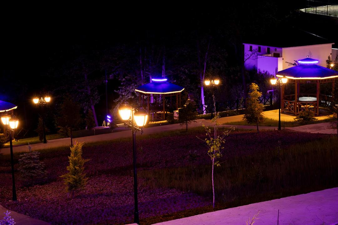 Photo of Others in Duzkoy