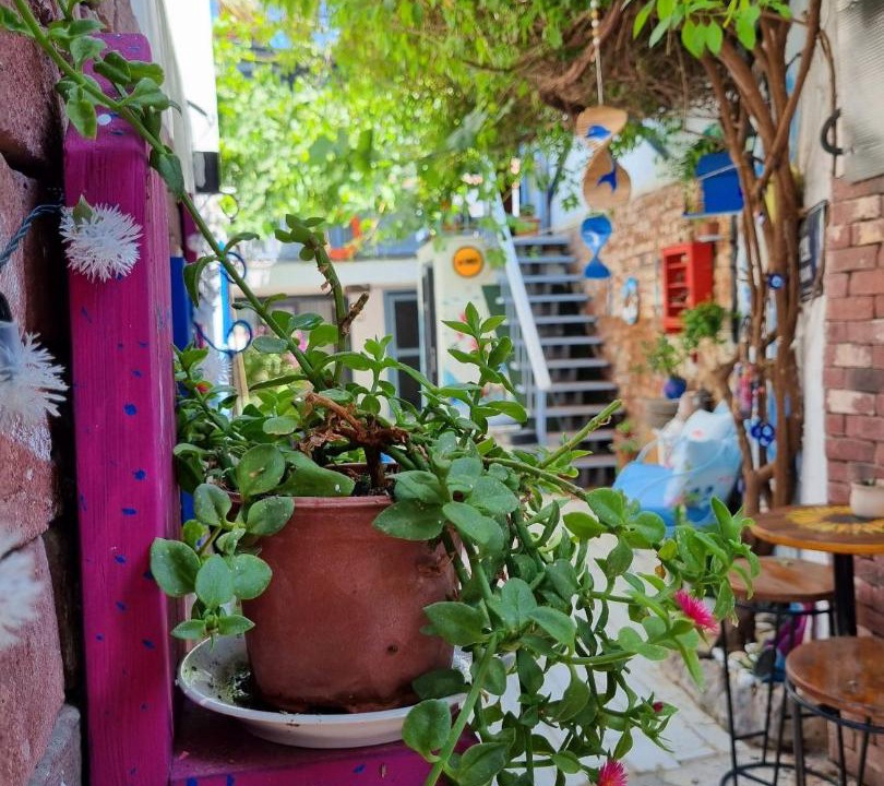 Photo of Others in Sigacık