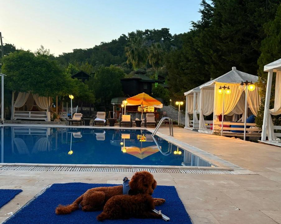 Photo of Others in Olympos