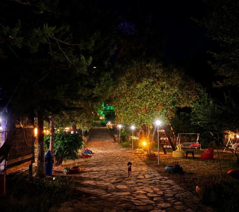 Photo of Others in Olympos
