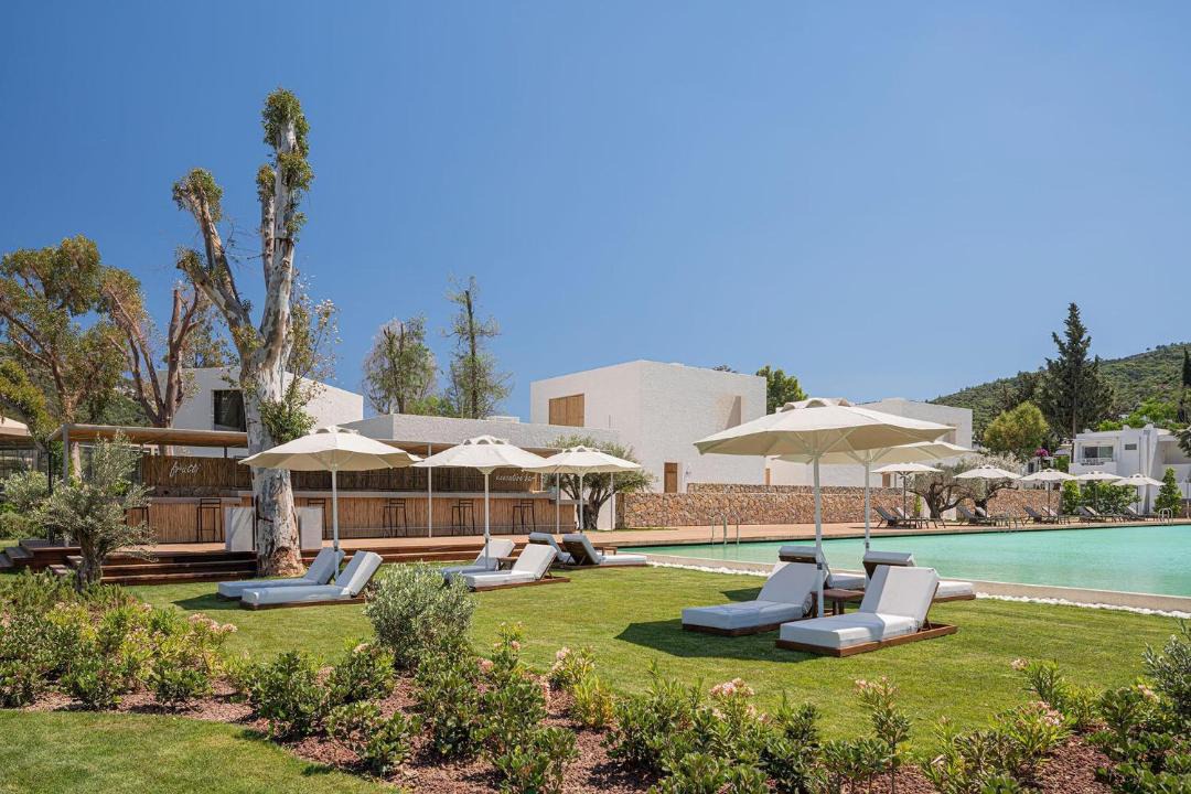 Photo of Others in Torba