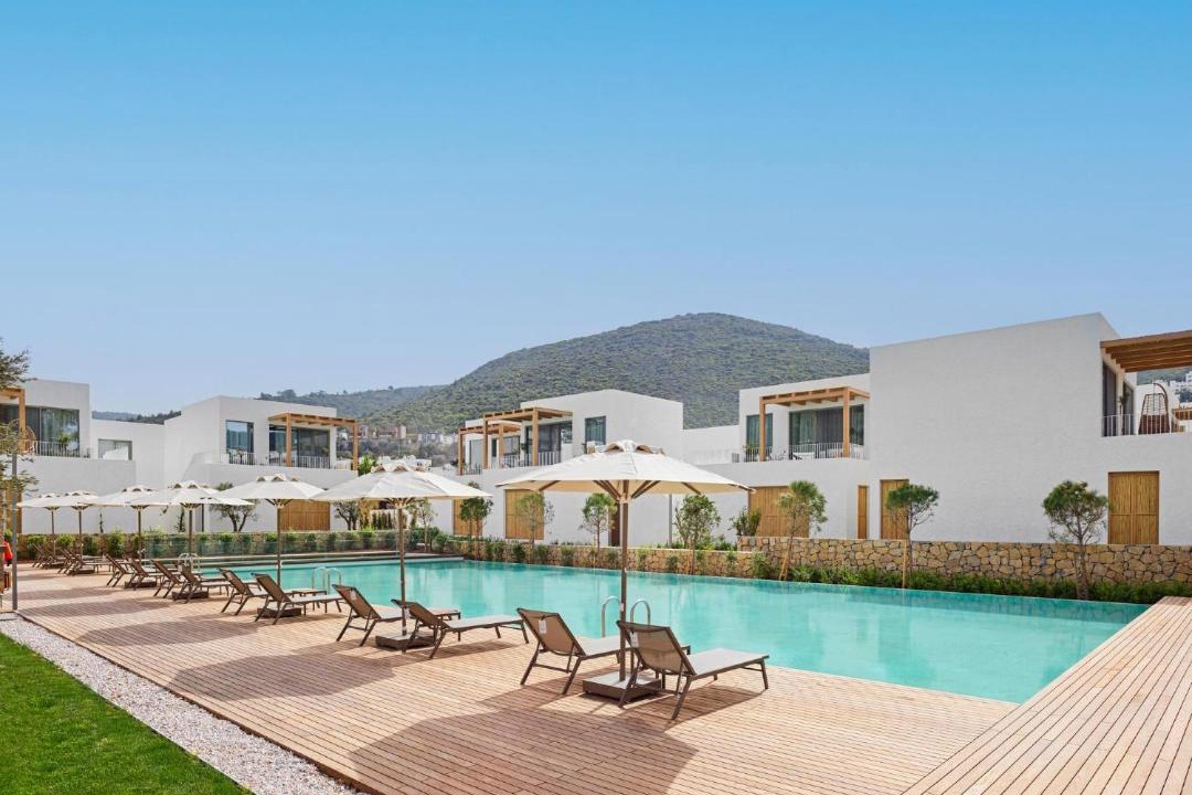 Photo of Others in Torba
