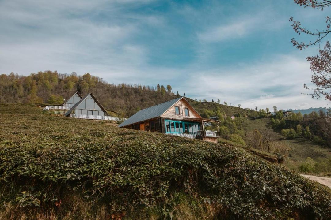 Photo of Others in Cayirduzu