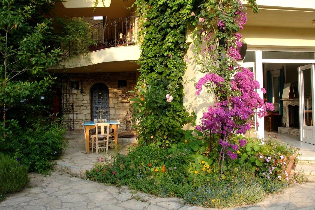 Photo of Livingroom in Guzelcamli