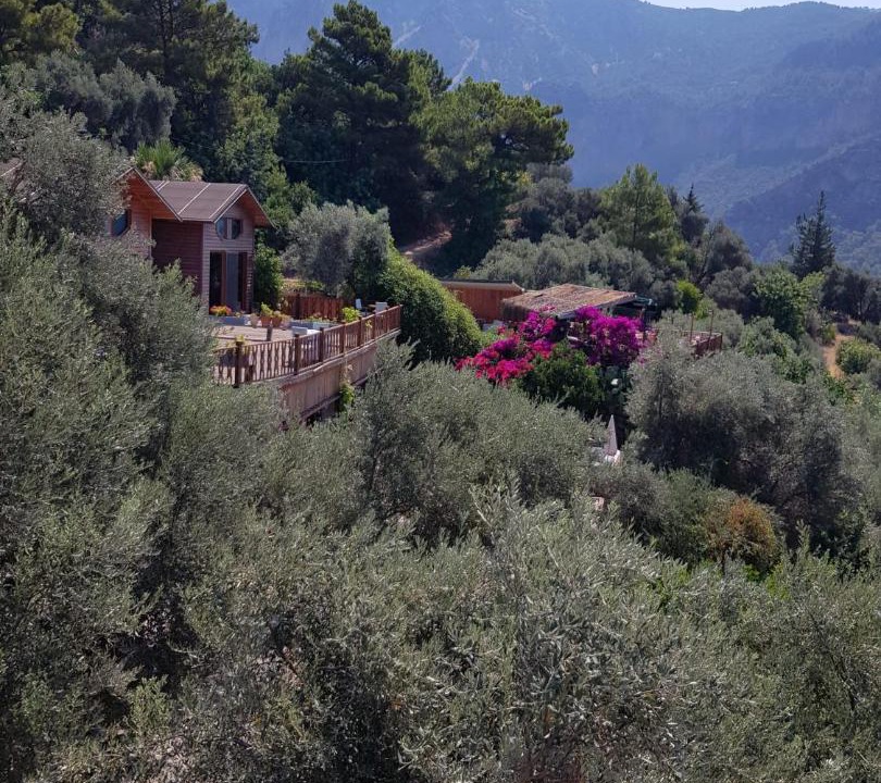 Photo of Others in Kabak Valley