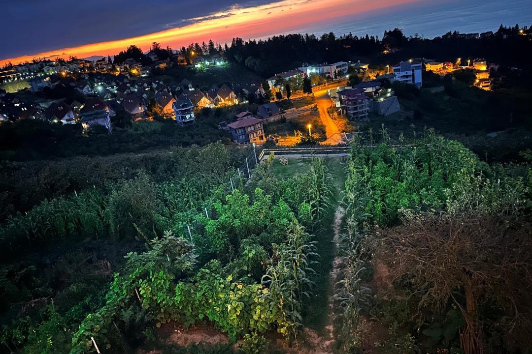 Photo of Others in Trabzon
