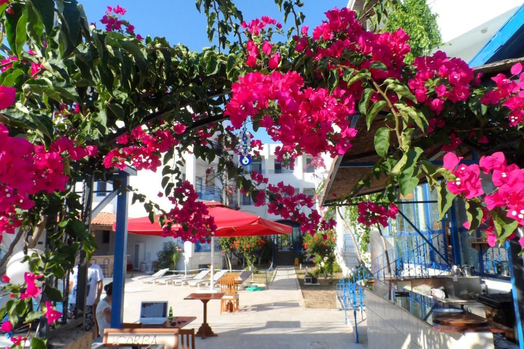 Photo of Others in Turgutreis