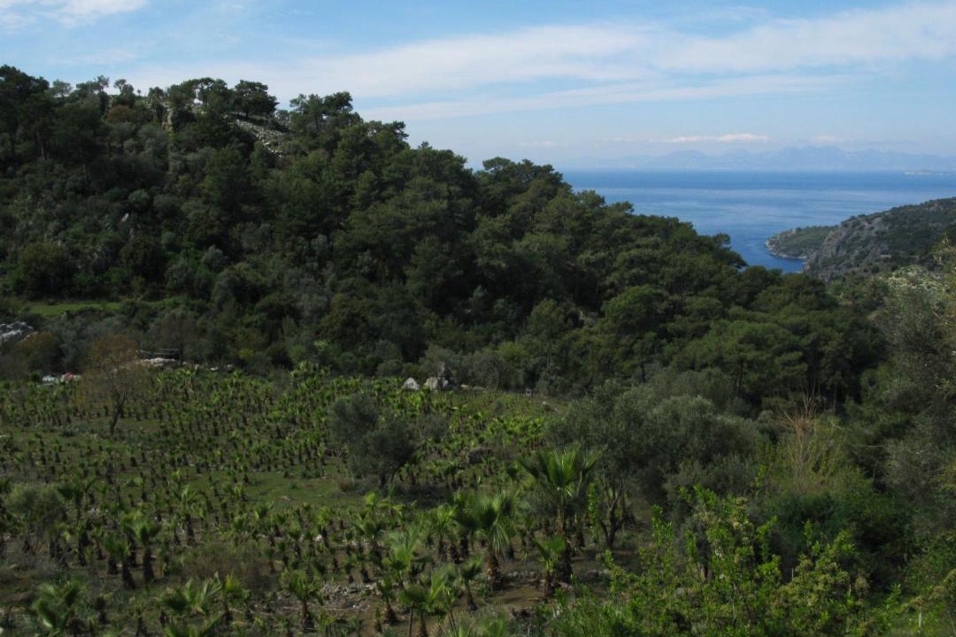 Photo of Outdoor in Ortaca