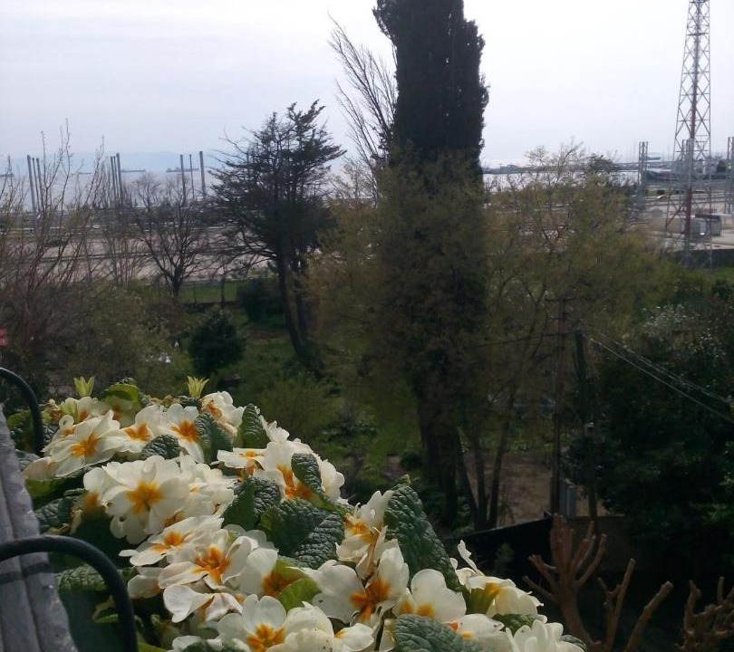 Photo of Others in Kaynarca