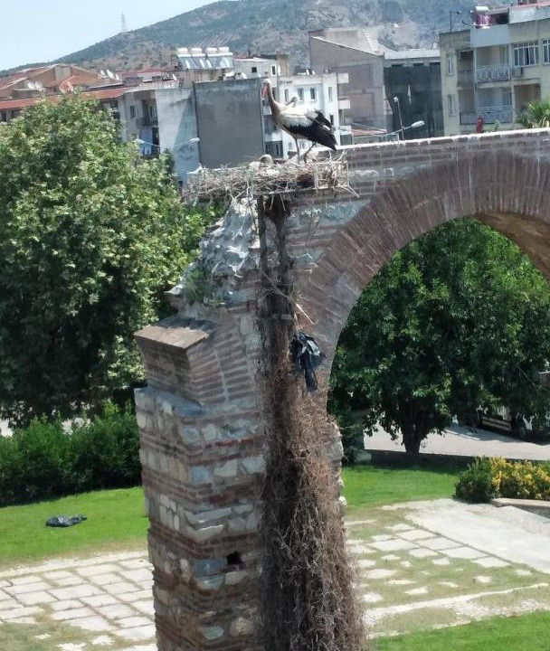 Photo of Others in Selcuk