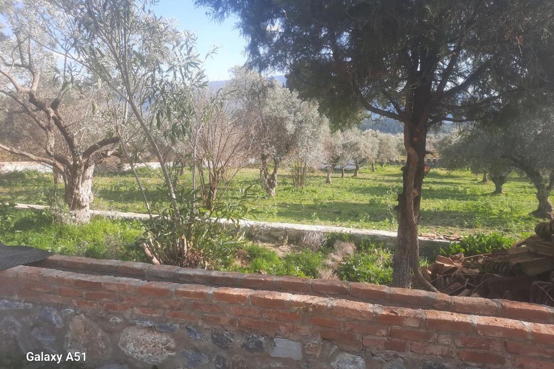 Photo of Others in Selcuk