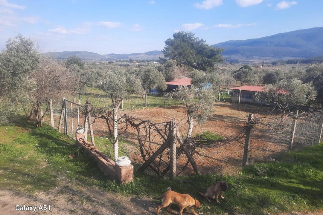 Photo of Others in Selcuk