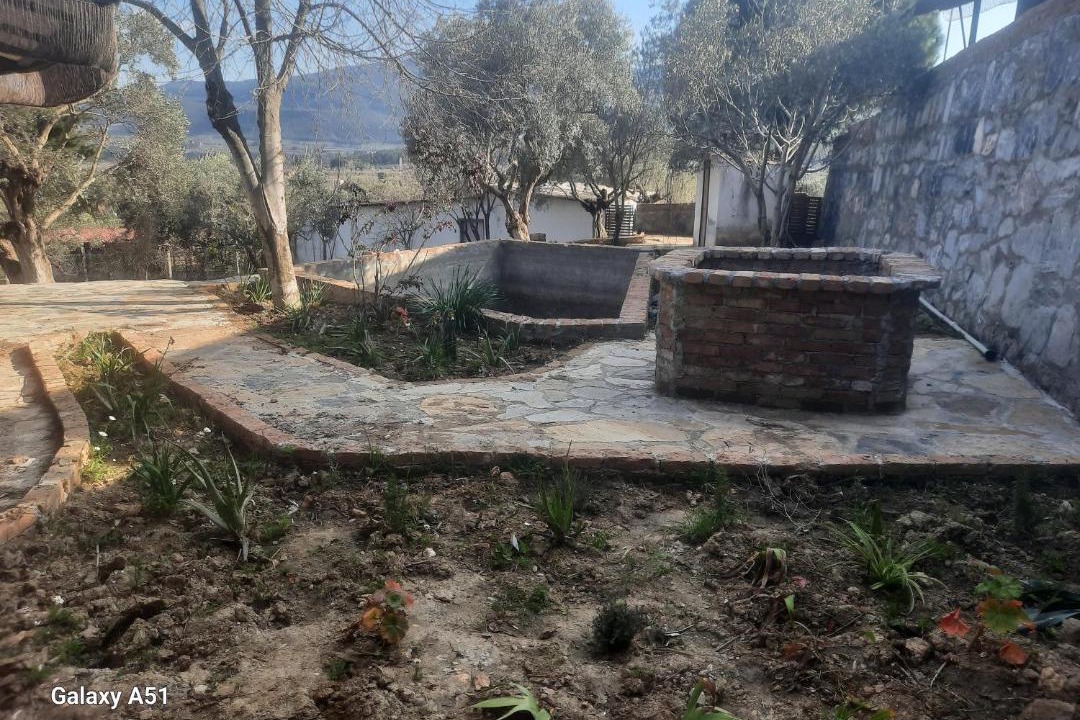 Photo of Others in Selcuk