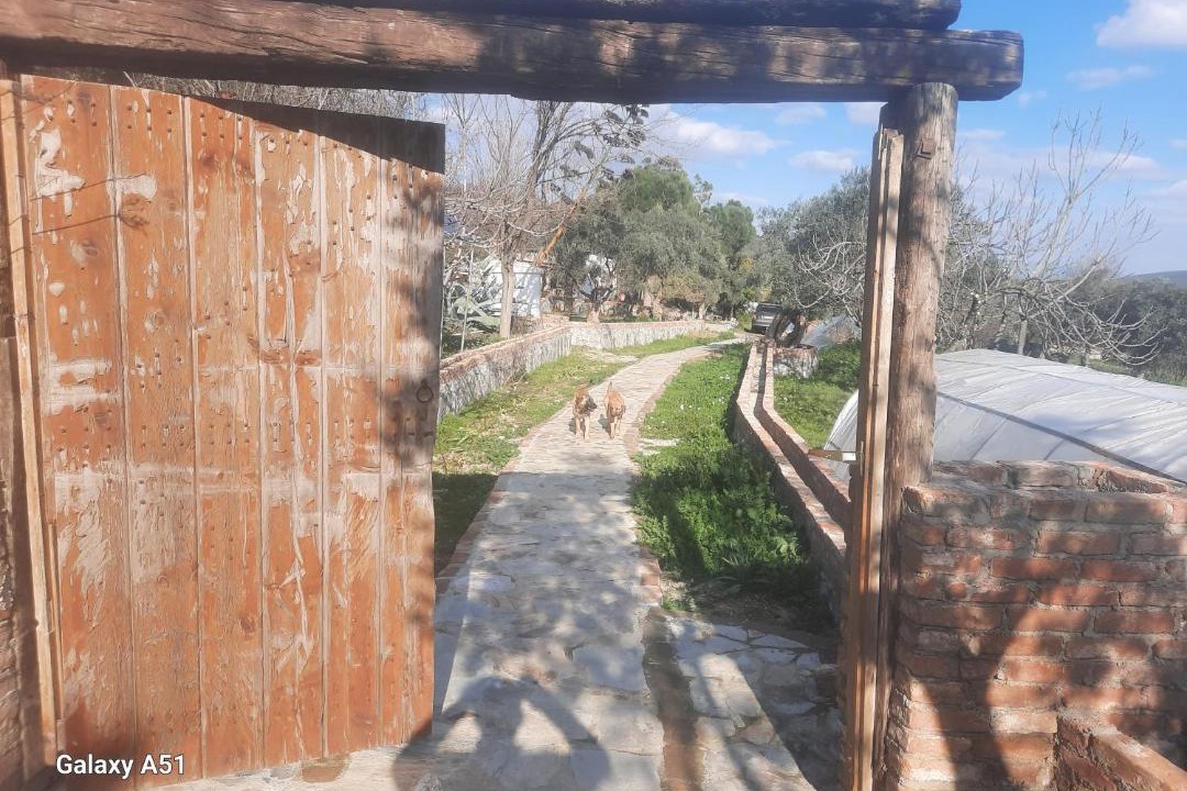 Photo of Others in Selcuk