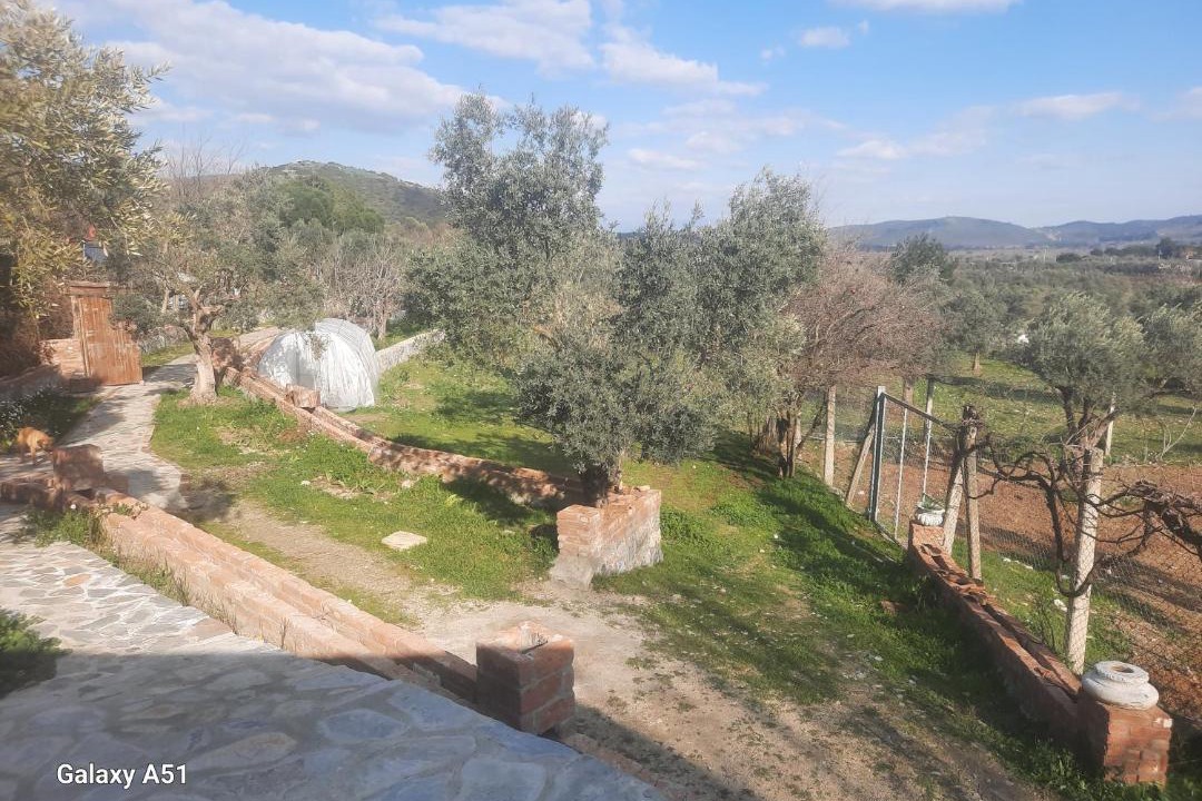 Photo of Others in Selcuk