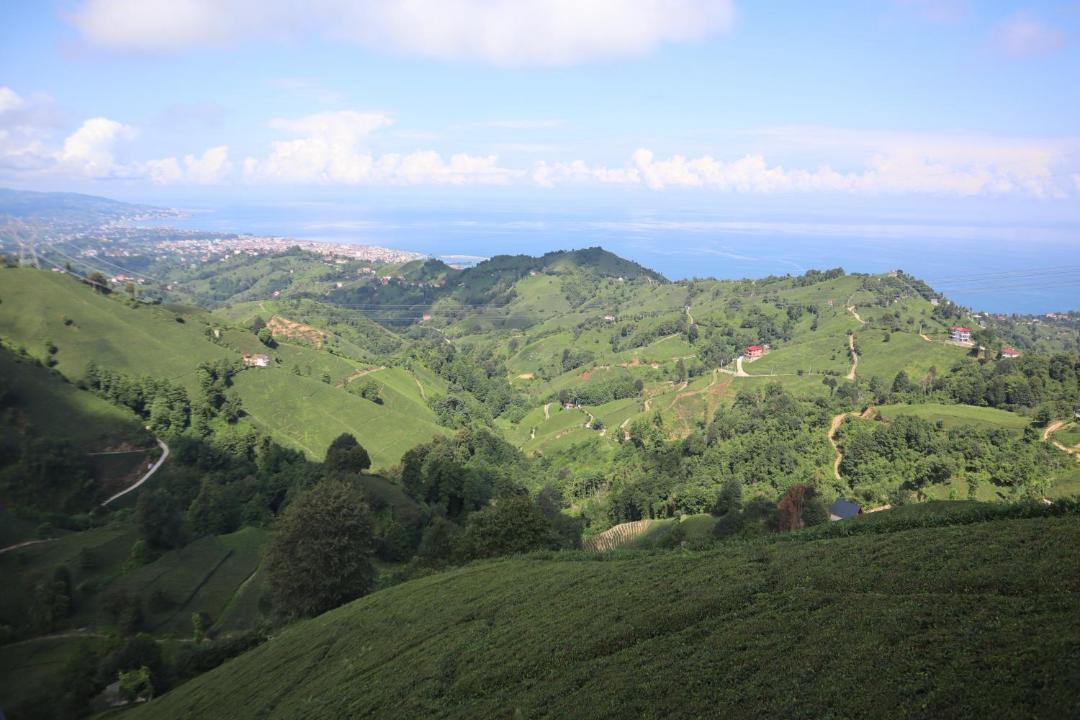 Photo of Others in Ardesen