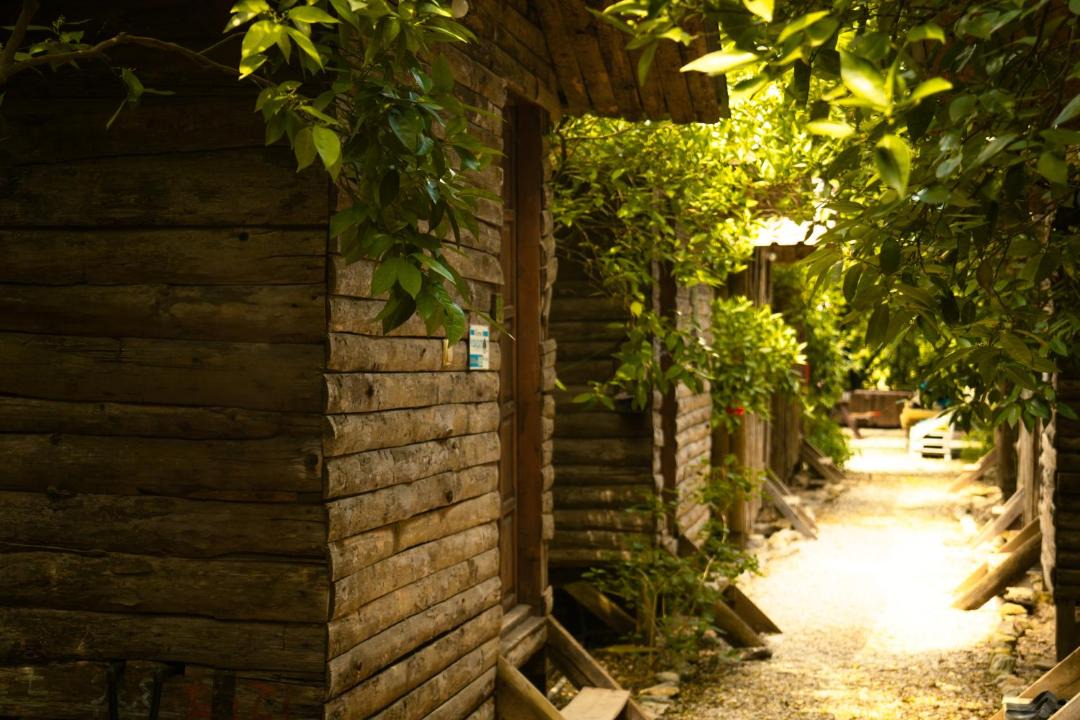 Photo of Others in Olympos