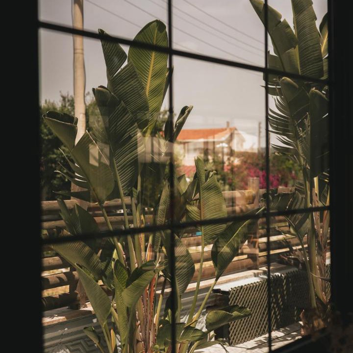 Photo of Others in Urla
