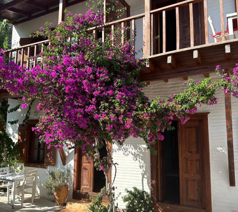 Photo of Others in Kalkan