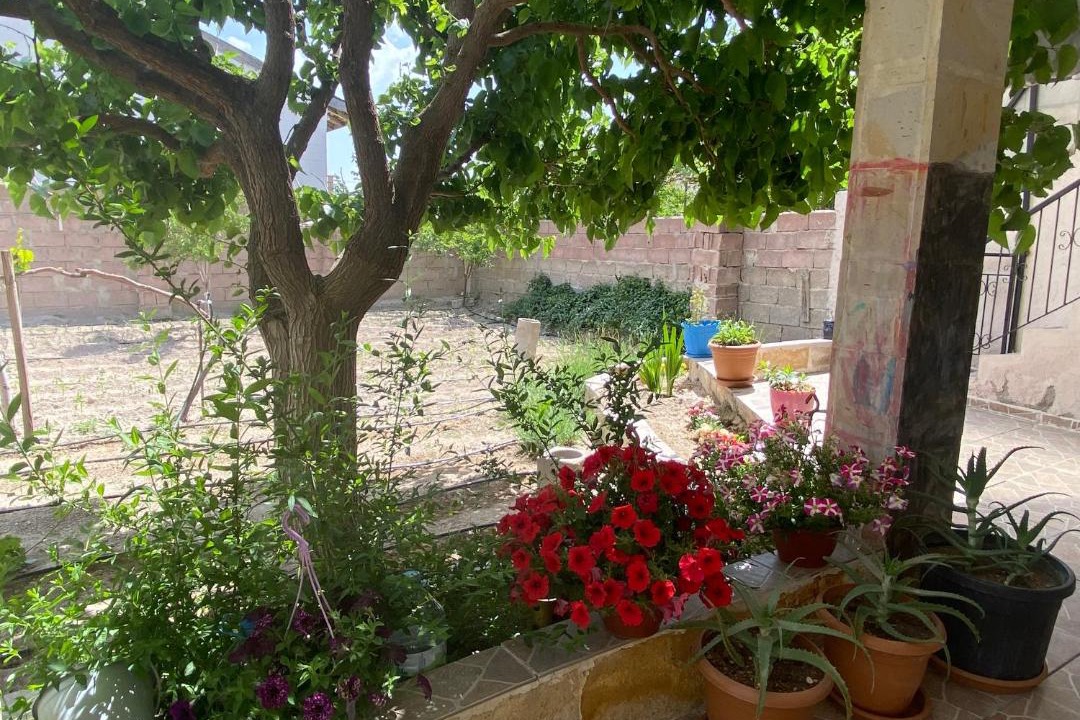 Photo of Others in Ortahisar