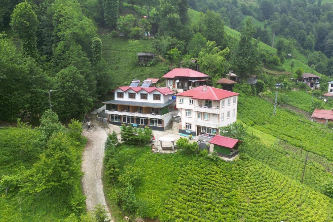 Photo of Others in Ayder