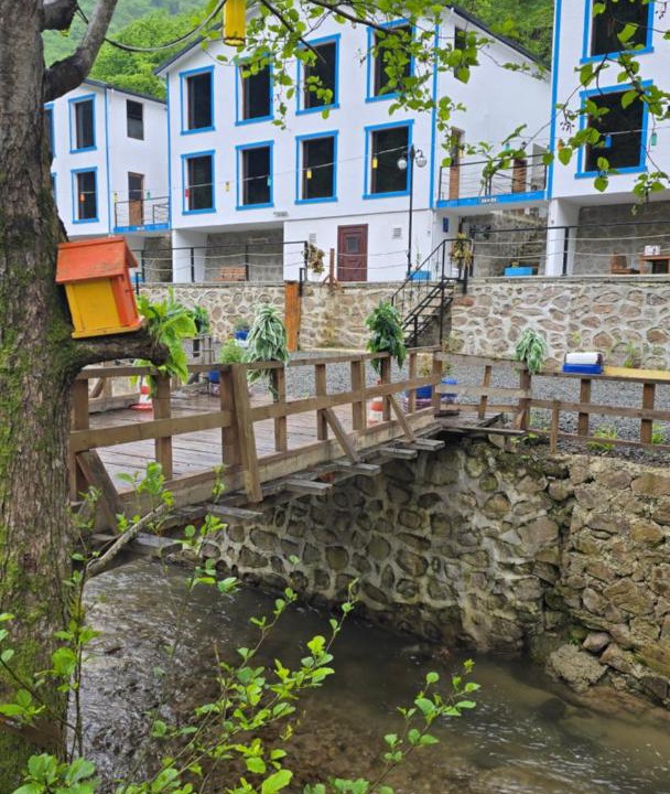 Photo of Others in Trabzon